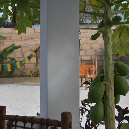 New Arisen Bungalows Bwejuu Zewnętrze zdjęcie