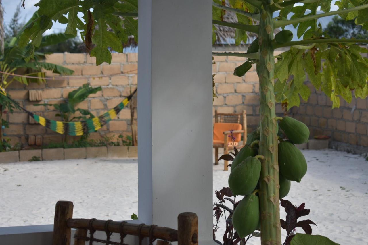 New Arisen Bungalows Bwejuu Zewnętrze zdjęcie