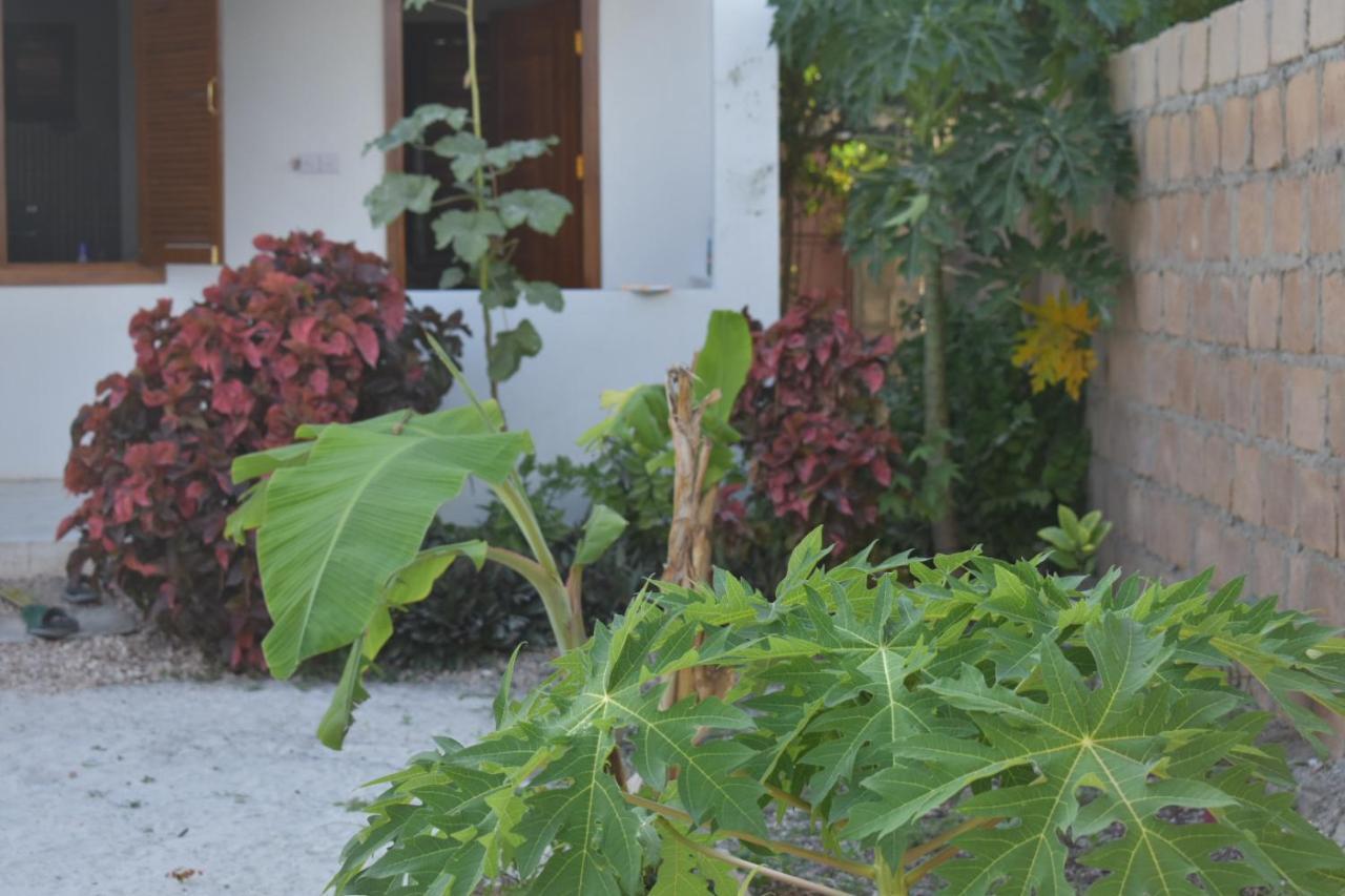 New Arisen Bungalows Bwejuu Zewnętrze zdjęcie